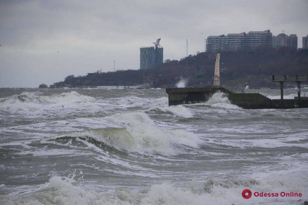 Одесское побережье накрыла морская пена (фото, видео)