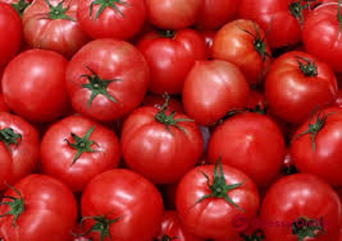 В Черноморский порт из Турции привезли зараженные молью томаты