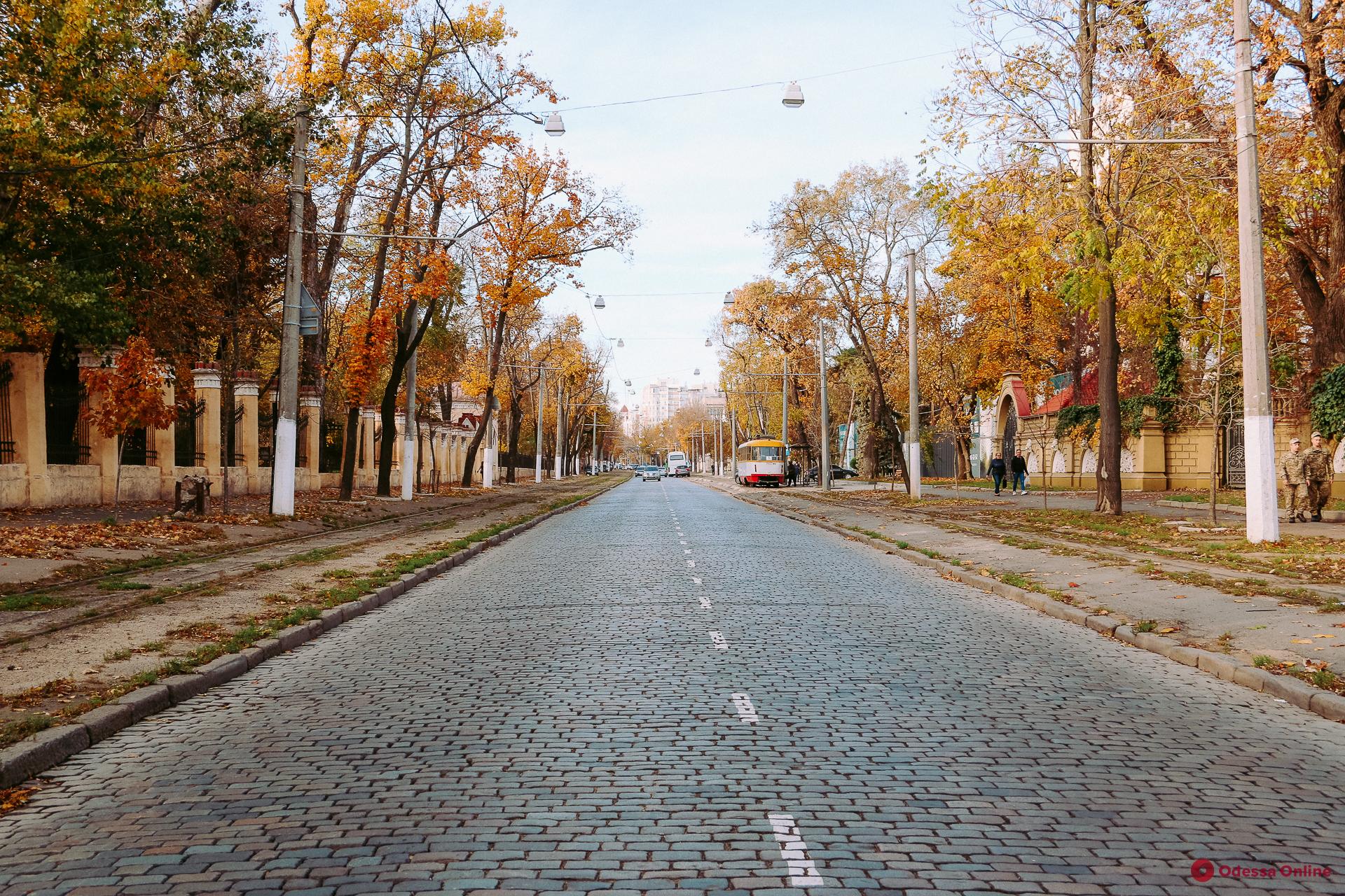 В Одессе на Французском бульваре проведут текущий ремонт дорожного покрытия