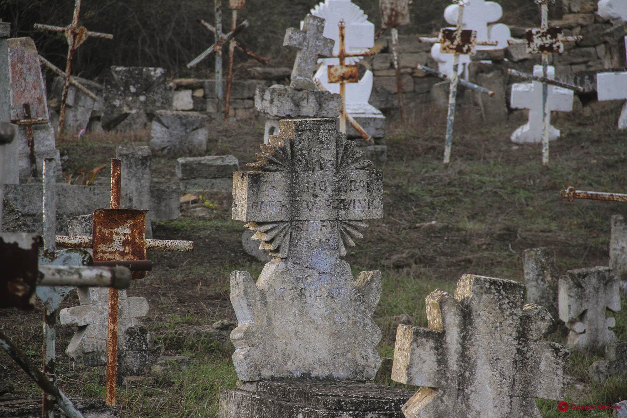 Как сегодня выглядит старинное казацкое кладбище под Шкодовой горой (фоторепортаж)