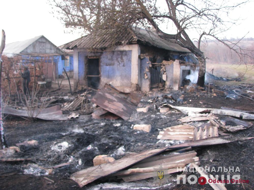 В Одесской области борцы с сухостоем едва не сожгли жилые дома