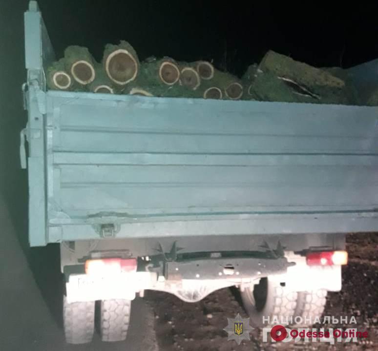 В Одесской области поймали «черного» лесоруба с набитым свежей древесиной грузовиком