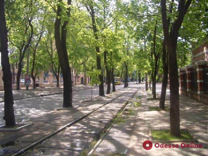 В Одессе разработают проект комплексной реконструкции Французского бульвара