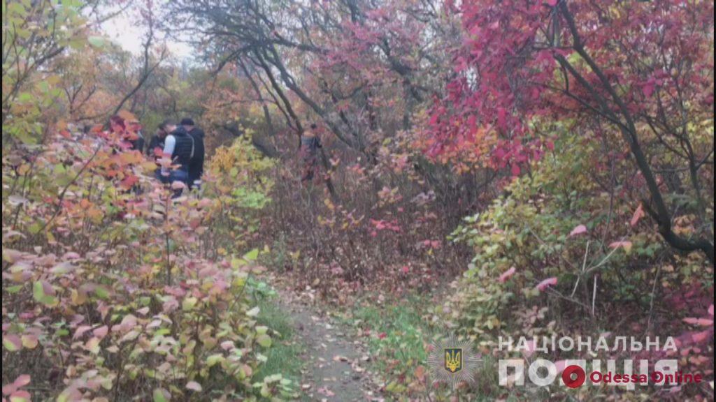 В лесопосадке под Одессой нашли тело 14-летней девочки (видео)
