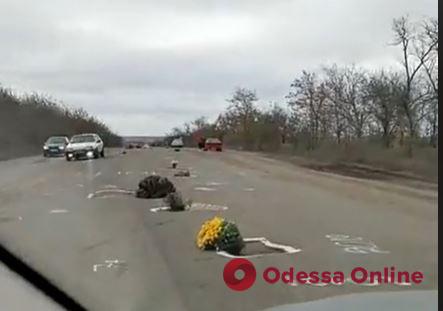 Необычный протест: люди «высадили» цветы в ямы на автодороге в Беляевском районе (видео)