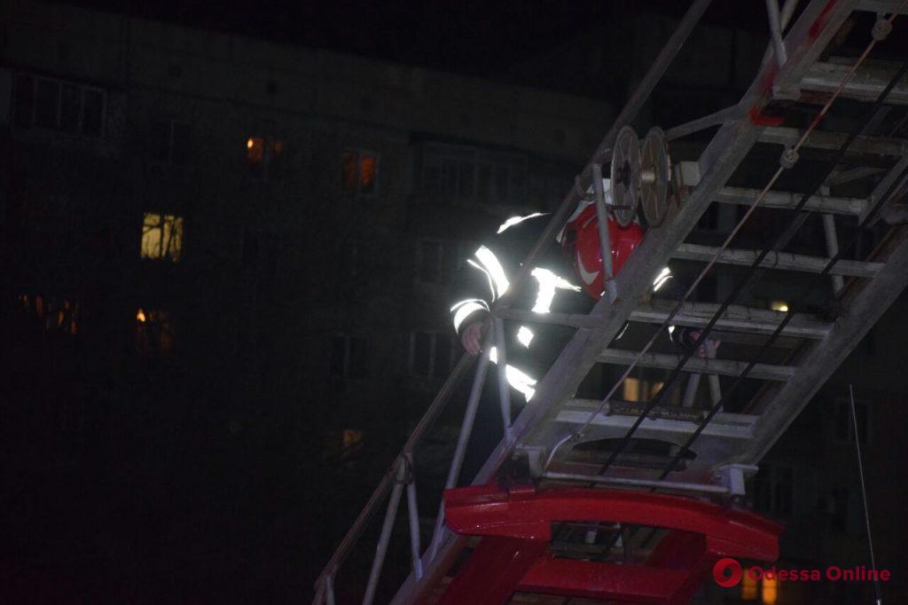 На поселке Котовского тушили пожар в ресторане «Slow Piggy»