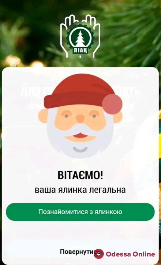 Одесситы смогут узнать о происхождении своей новогодней елки через мобильное приложение