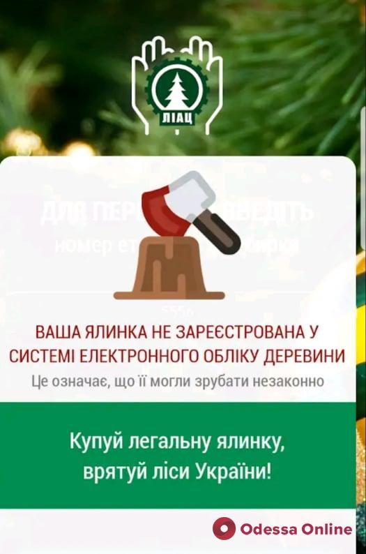Одесситы смогут узнать о происхождении своей новогодней елки через мобильное приложение