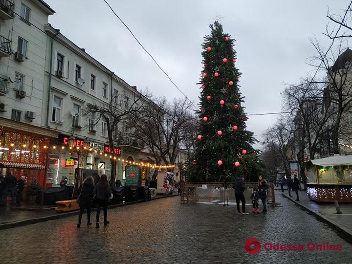 В Одессе на Дерибасовской установили елку (фотофакт)