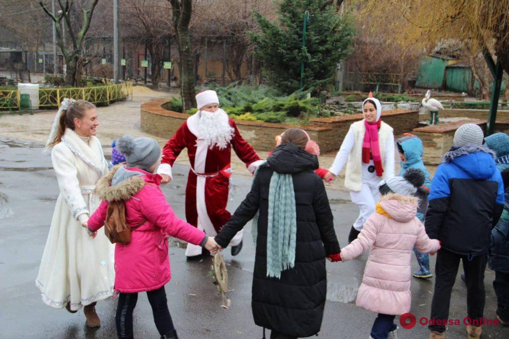 Снеговик, Дед Мороз и Снегурочка: в Одесском зоопарке прошли предновогодние празднования (фото)