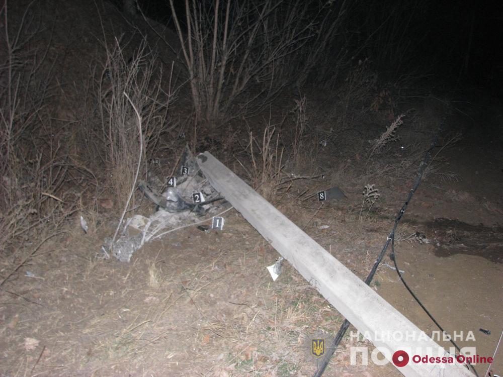 В Одесской области пьяный водитель въехал в электроопору – пострадал пассажир
