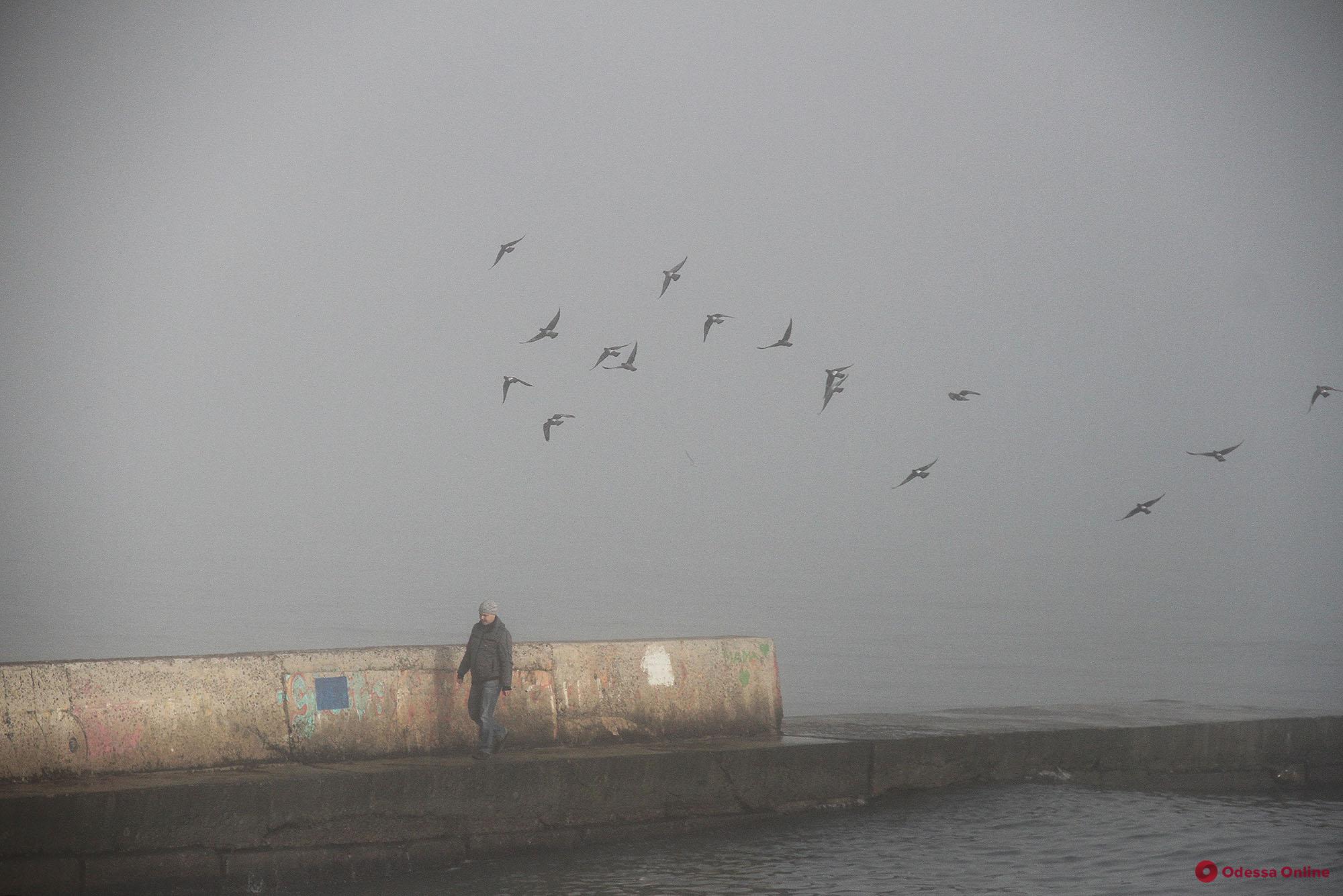 На побережье Одессы опустился туман (фоторепортаж)