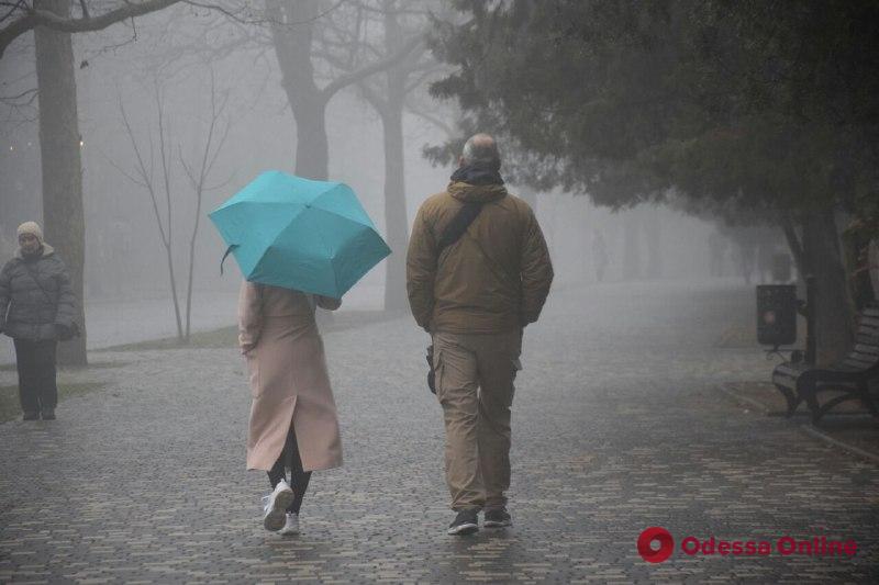 Дождь не помеха: в парке Шевченко украсили елочку (фоторепортаж)