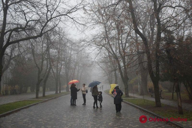 Дождь не помеха: в парке Шевченко украсили елочку (фоторепортаж)