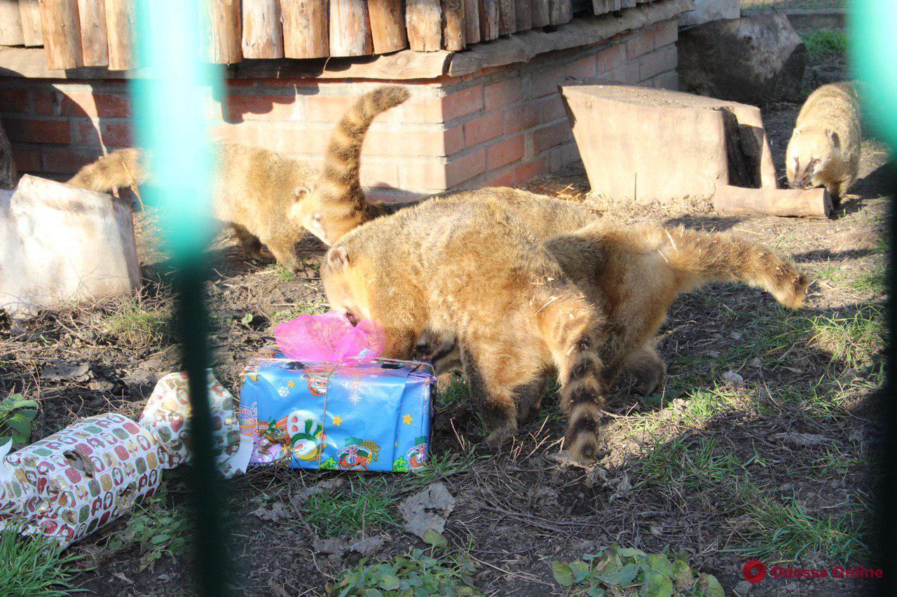 В Одесском зоопарке отметили День Святого Николая (фото)