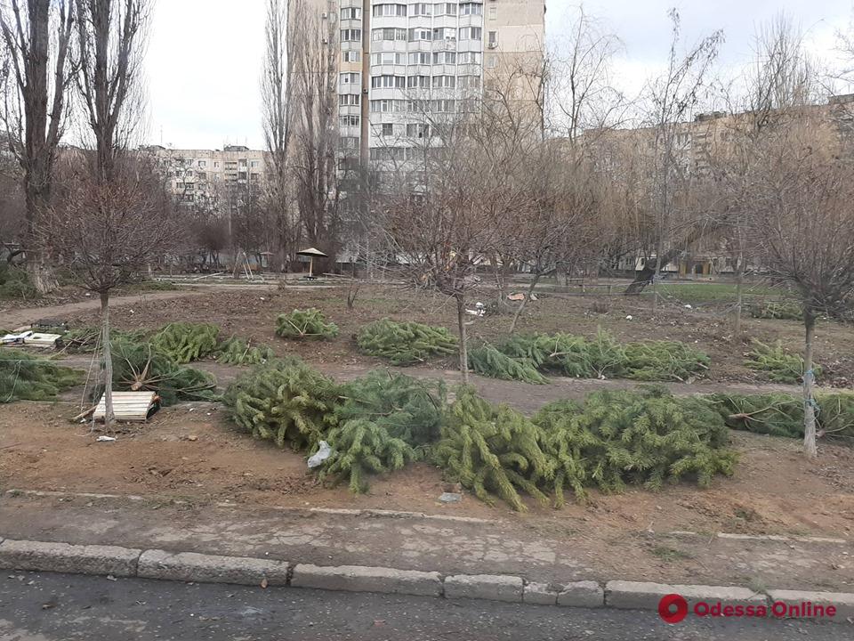 После новогодних гуляний Одесса превратилась в «кладбище» елок и сосен (фото)