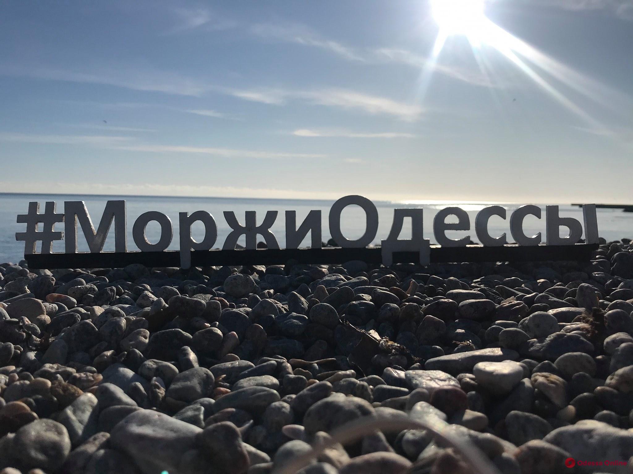 Одесские «моржи» открыли новый купальный сезон (фото)