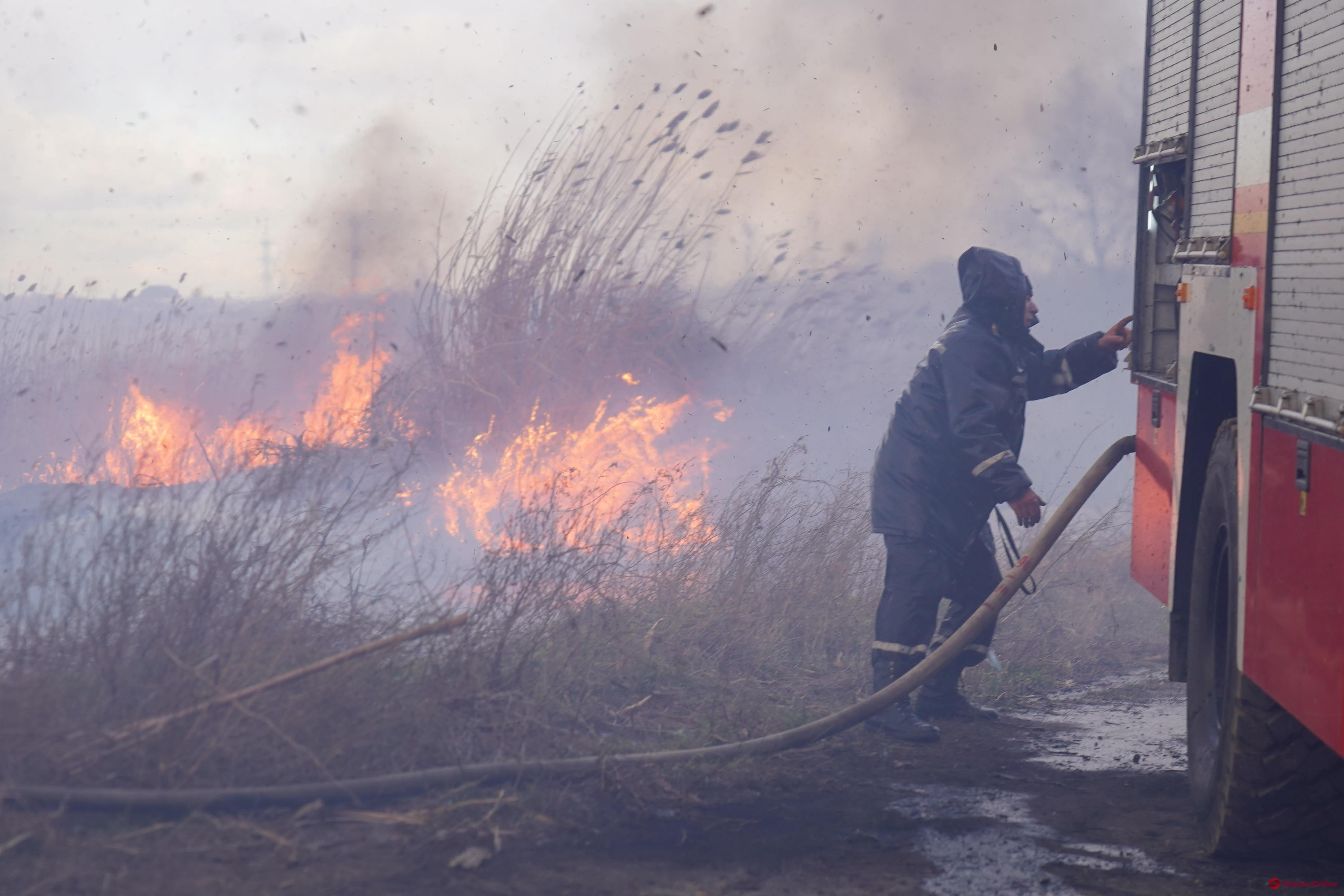 В Одессе на полях орошения на большой площади горит камыш (фото, видео, обновляется)