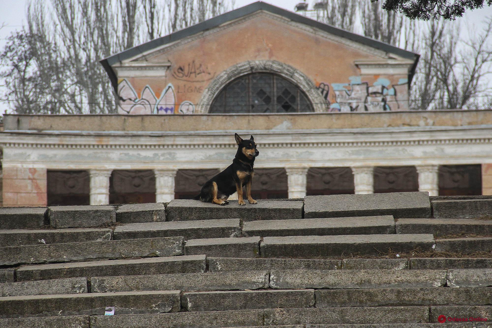 Очаровательные обитатели Дюковского парка (фоторепортаж)