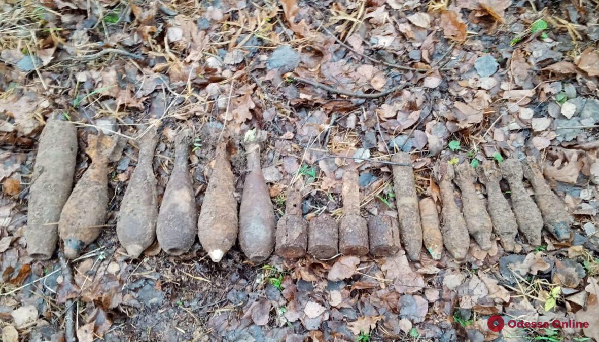 За сутки в Одесской области нашли почти три десятка снарядов и мину