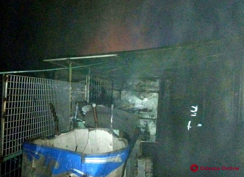 В Одесской области сгорел гараж с автомобилем