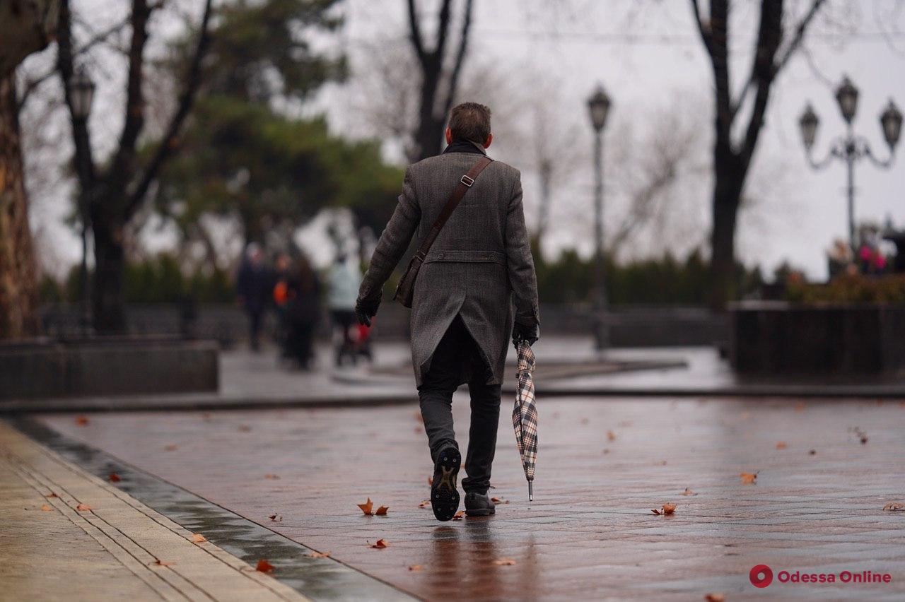 «Осенний» январь в Одессе (фоторепортаж)