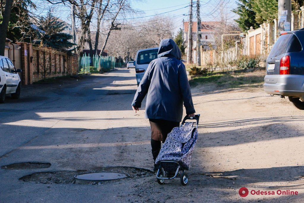 Новостройки, милые домики и собаки: фотопрогулка по улице Толбухина