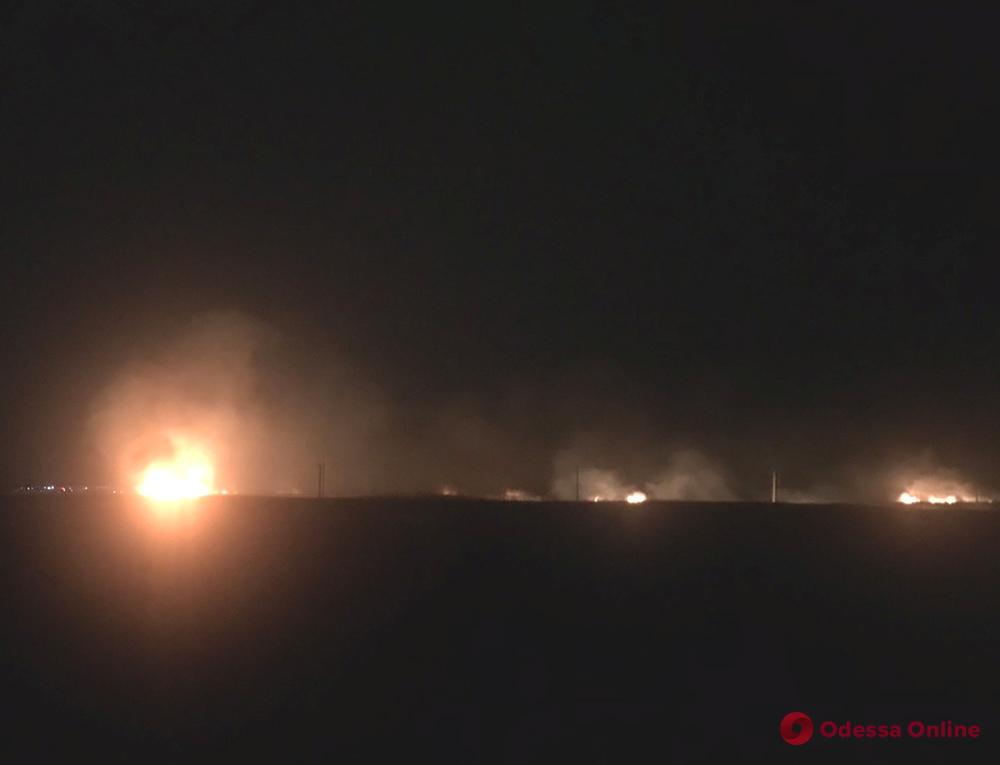 В Одесской области горят плавни Днестра (видео, обновлено)