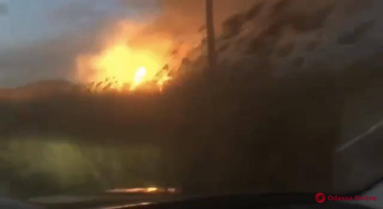 На полях орошения в Одессе снова горит камыш (видео, обновлено)