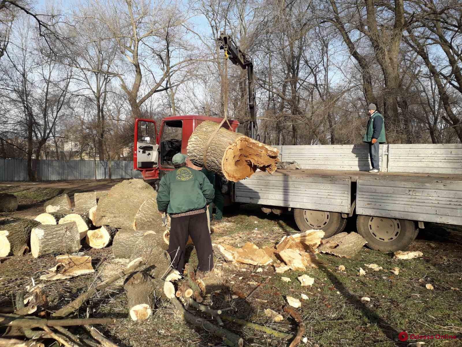 В Одессе коммунальщики продолжают ликвидировать последствия урагана