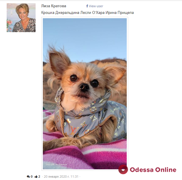 Победительница фотоконкурса Odessa.online передала свой приз в приют для бездомных животных
