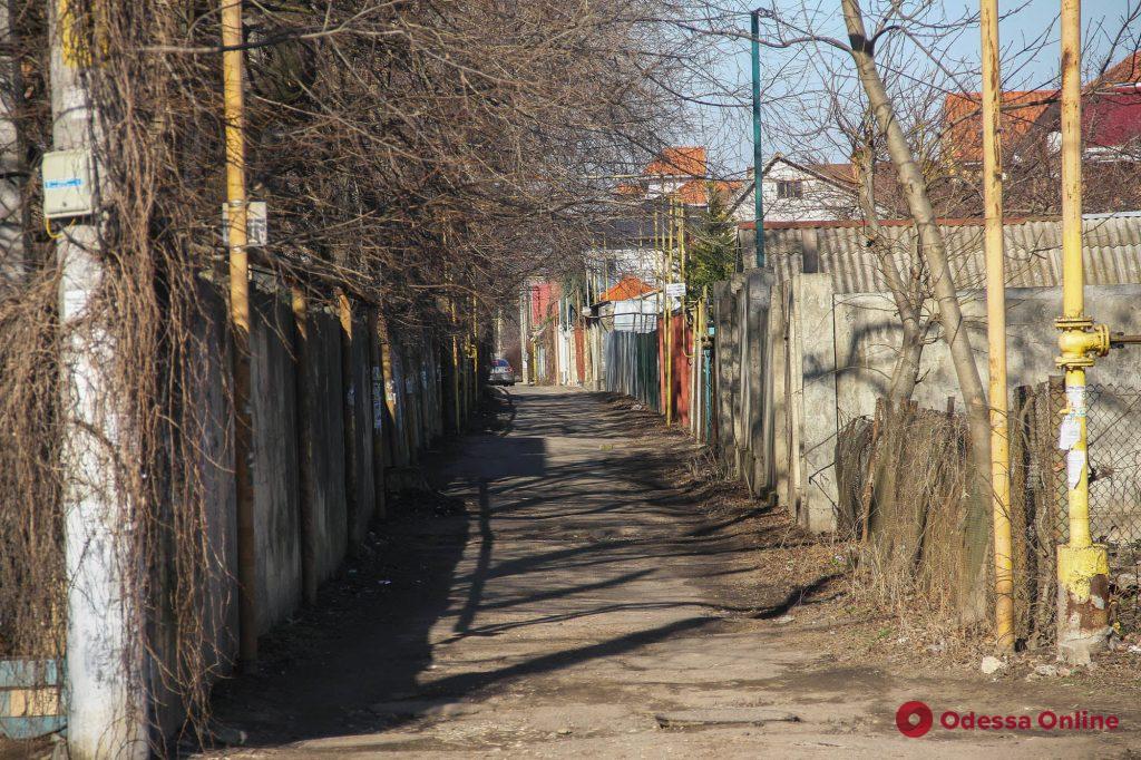 Узкие улочки, мостики и тишина: прогулка по Даче Ковалевского (фоторепортаж)