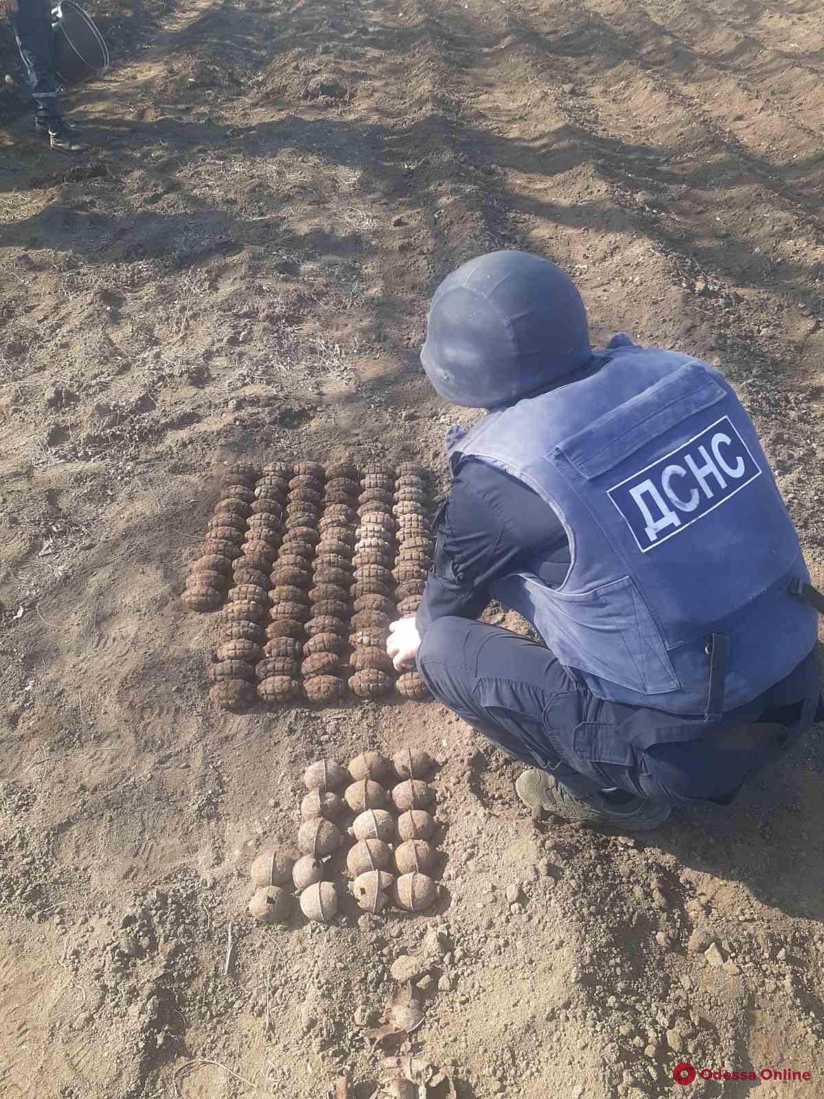 Житель Одесской области нашел у себя на огороде сотню гранат