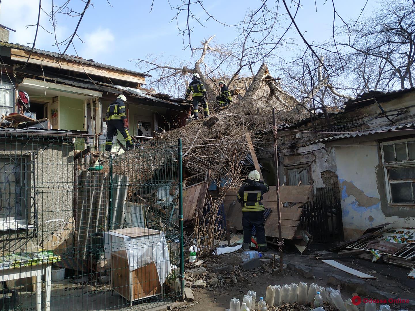 В Одессе дерево упало на крышу дома: под завалами находится женщина (фото)