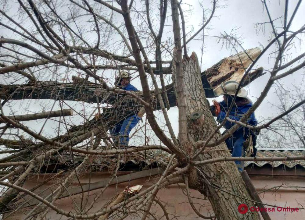 Непогода в Одесской области: дерево упало на газовую трубу