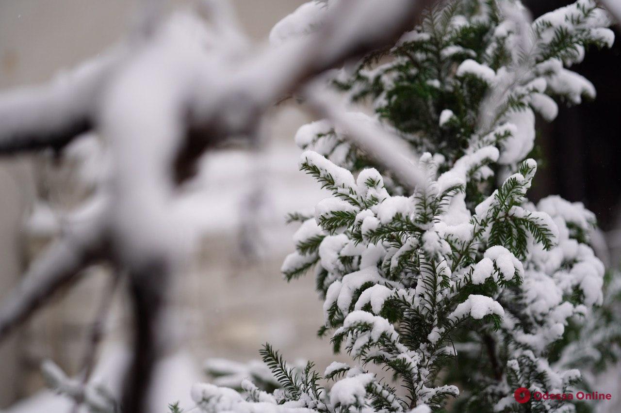 Дождались: Одесса после первого снега (фоторепортаж)