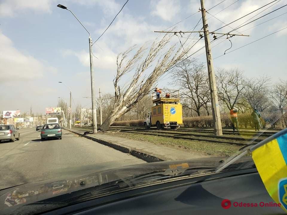 Ураган в Одессе: оборванные провода, сломанные билборды и разбитые авто (фото, обновляется)