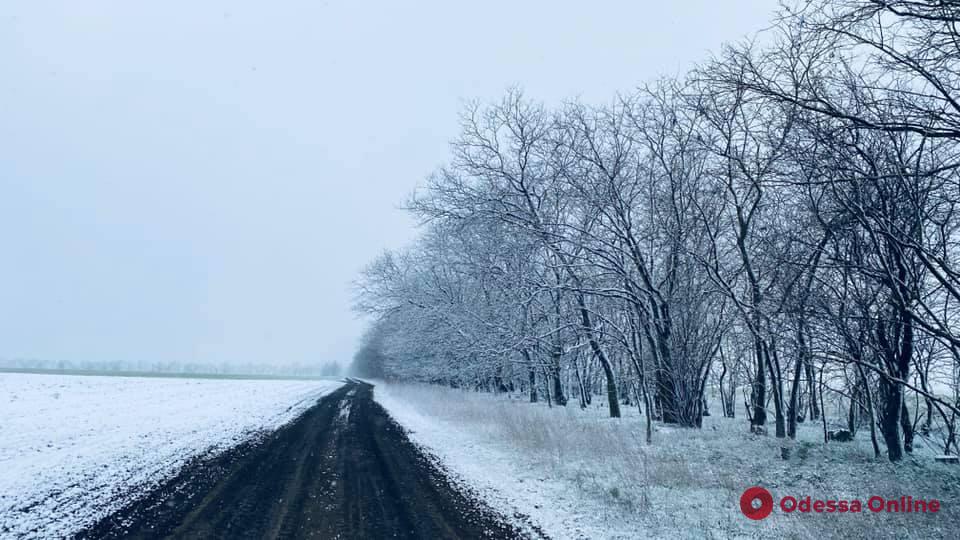 На юге Одесской области выпал снег (фото)