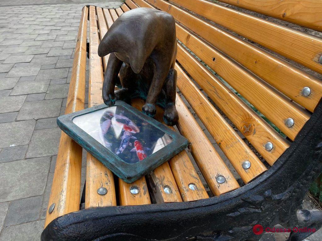 Одесская кошка Пушинка вернулась с новым планшетом