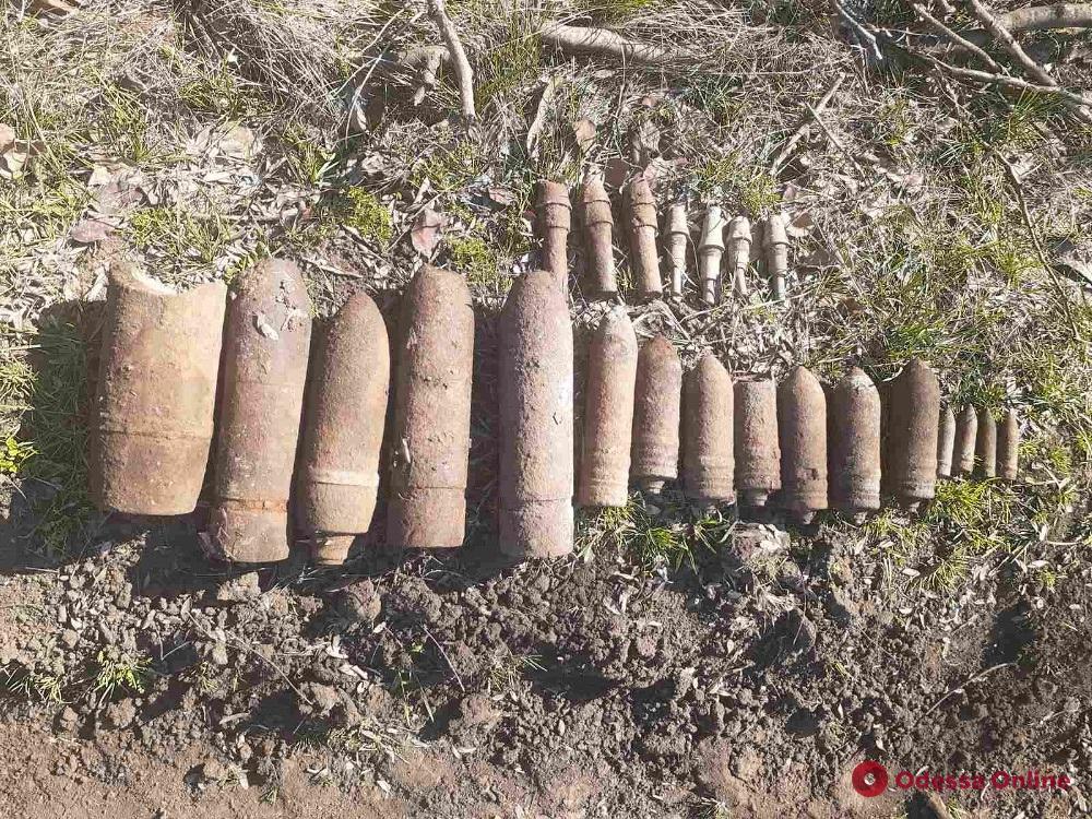 Житель Одесской области нашел у себя на огороде боеприпасы времен Второй мировой