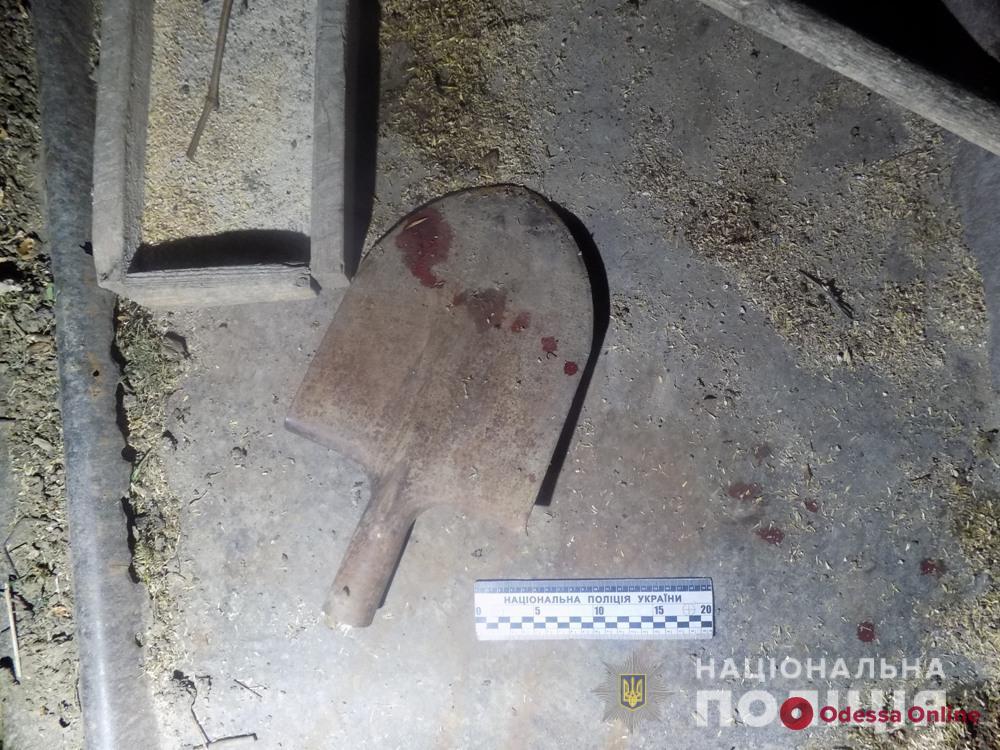 В Одесской области 17-летний охотник за металлом набросился на односельчанку с лопатой