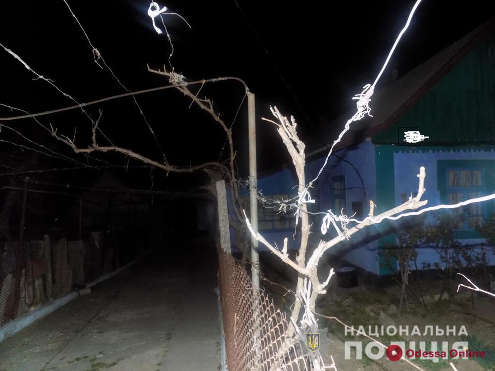 В Одесской области 17-летний охотник за металлом набросился на односельчанку с лопатой