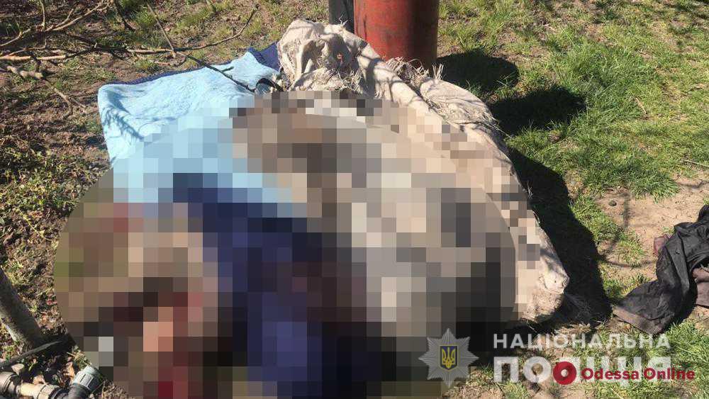 Под Одессой парень из ревности убил пенсионера ножом и молотком (фото)