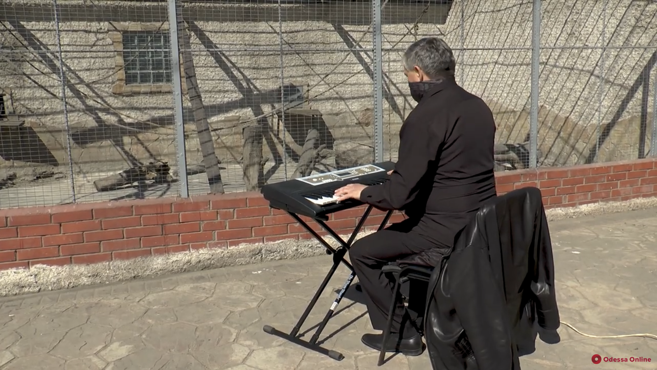 Обитателей Одесского зоопарка на карантине развлекают музыкой (видео)