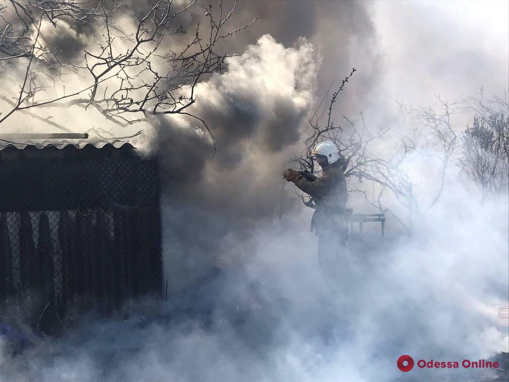 Жительница Одесской области сжигала мусор и устроила масштабный пожар