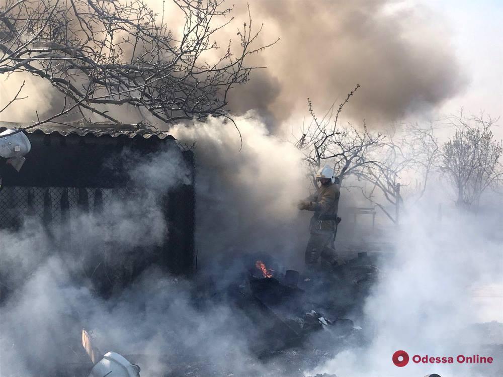 Жительница Одесской области сжигала мусор и устроила масштабный пожар
