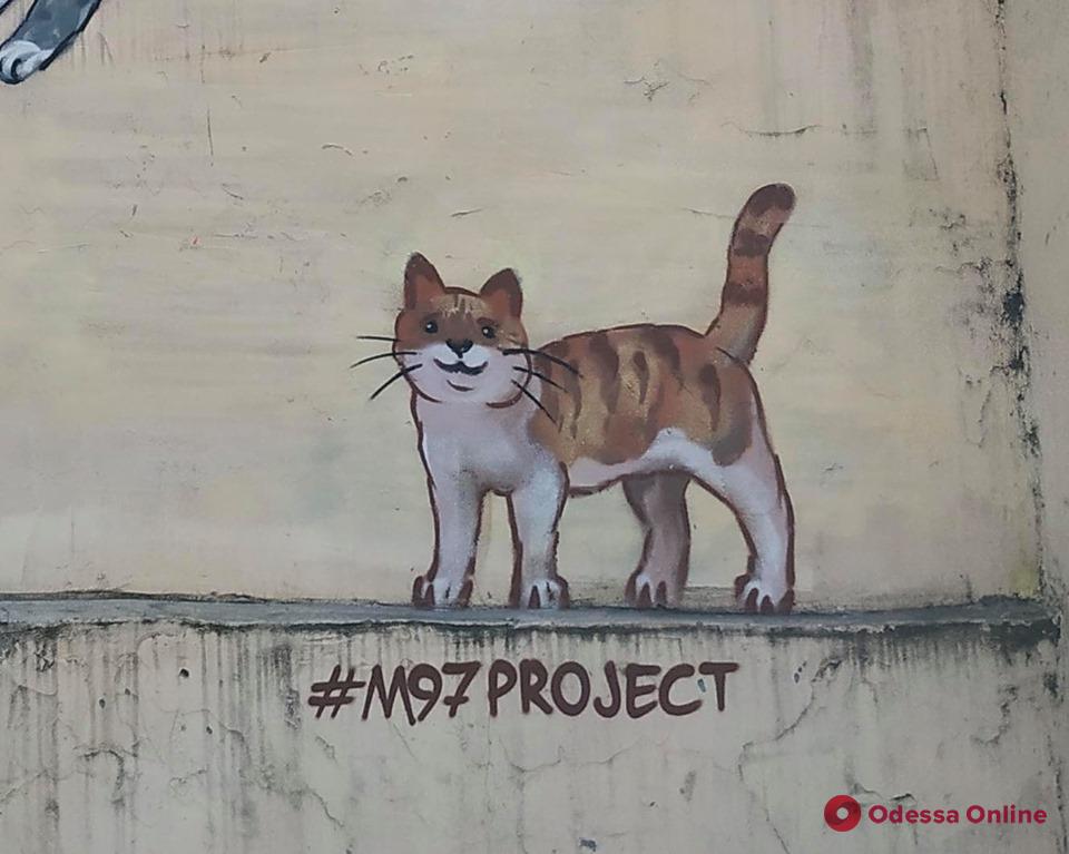 Здание в центре Одессы украшает новое «кошачье» граффити