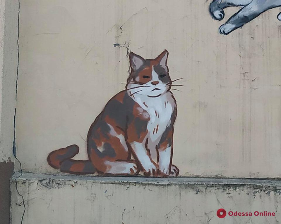 Здание в центре Одессы украшает новое «кошачье» граффити