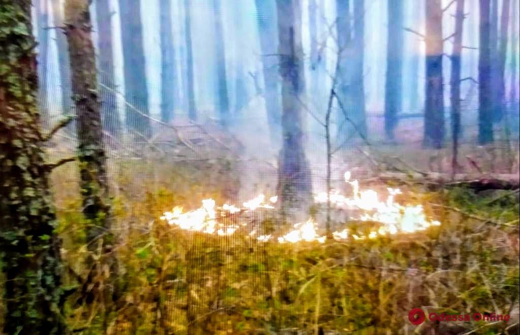 В связи с лесными пожарами Нацгвардия начала антидиверсионную операцию