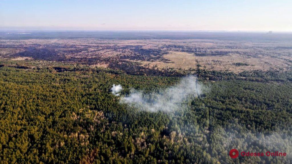 В связи с лесными пожарами Нацгвардия начала антидиверсионную операцию